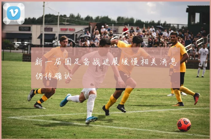 新一届国足备战进展缓慢相关消息仍待确认