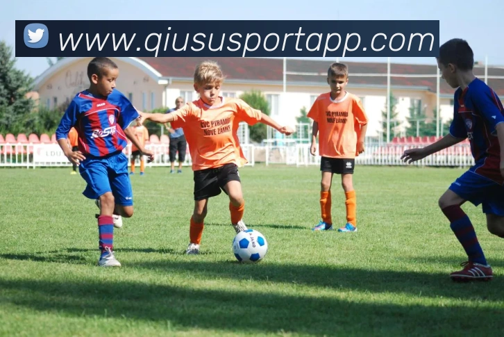 App Interface Preview